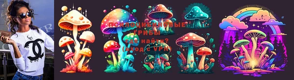 ешки Карпинск