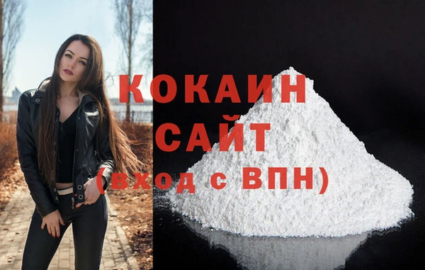 крисы Гатчина