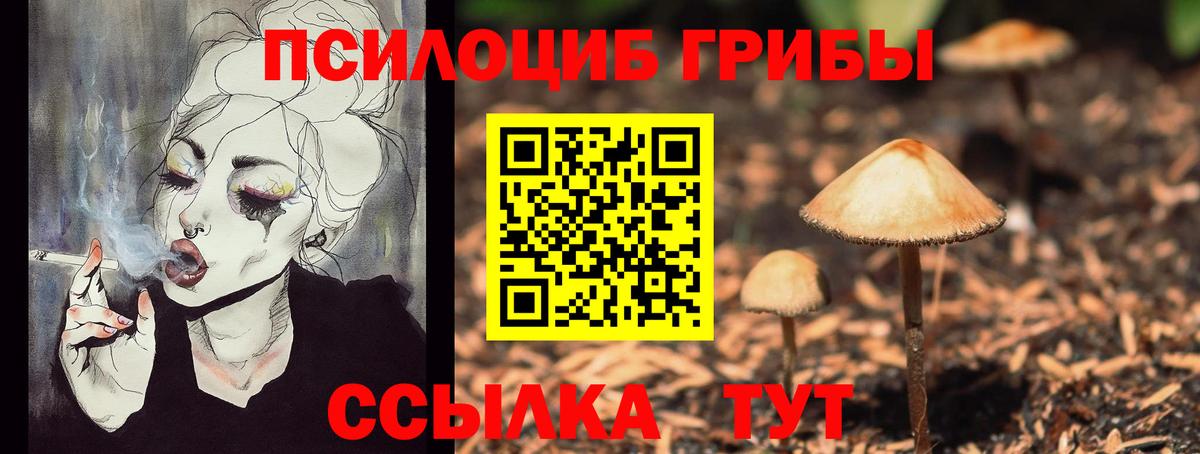 Галлюциногенные грибы Cubensis Кириши